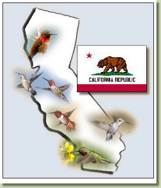 Summer Distribution Maps